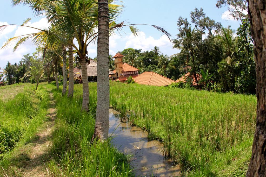 Hotel Villa Ubud Екстер'єр фото