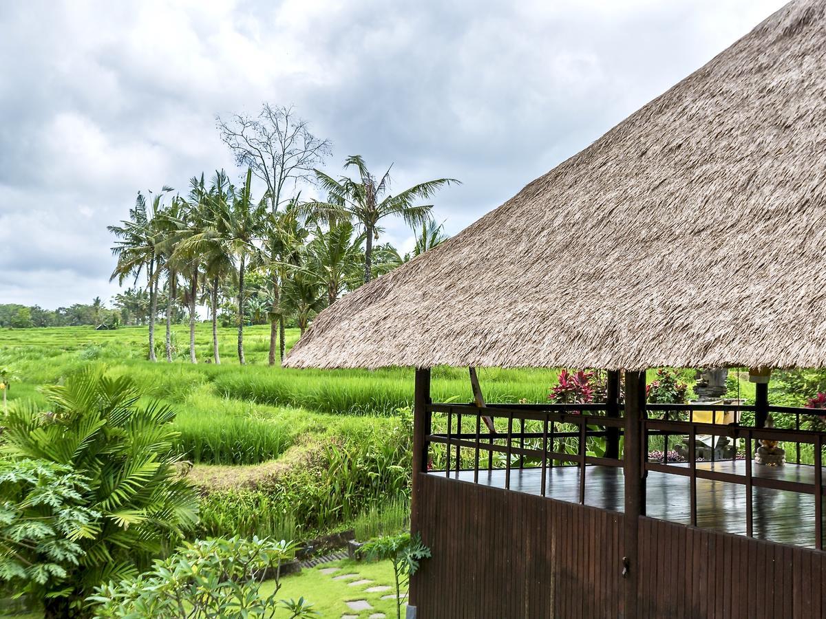 Hotel Villa Ubud Екстер'єр фото